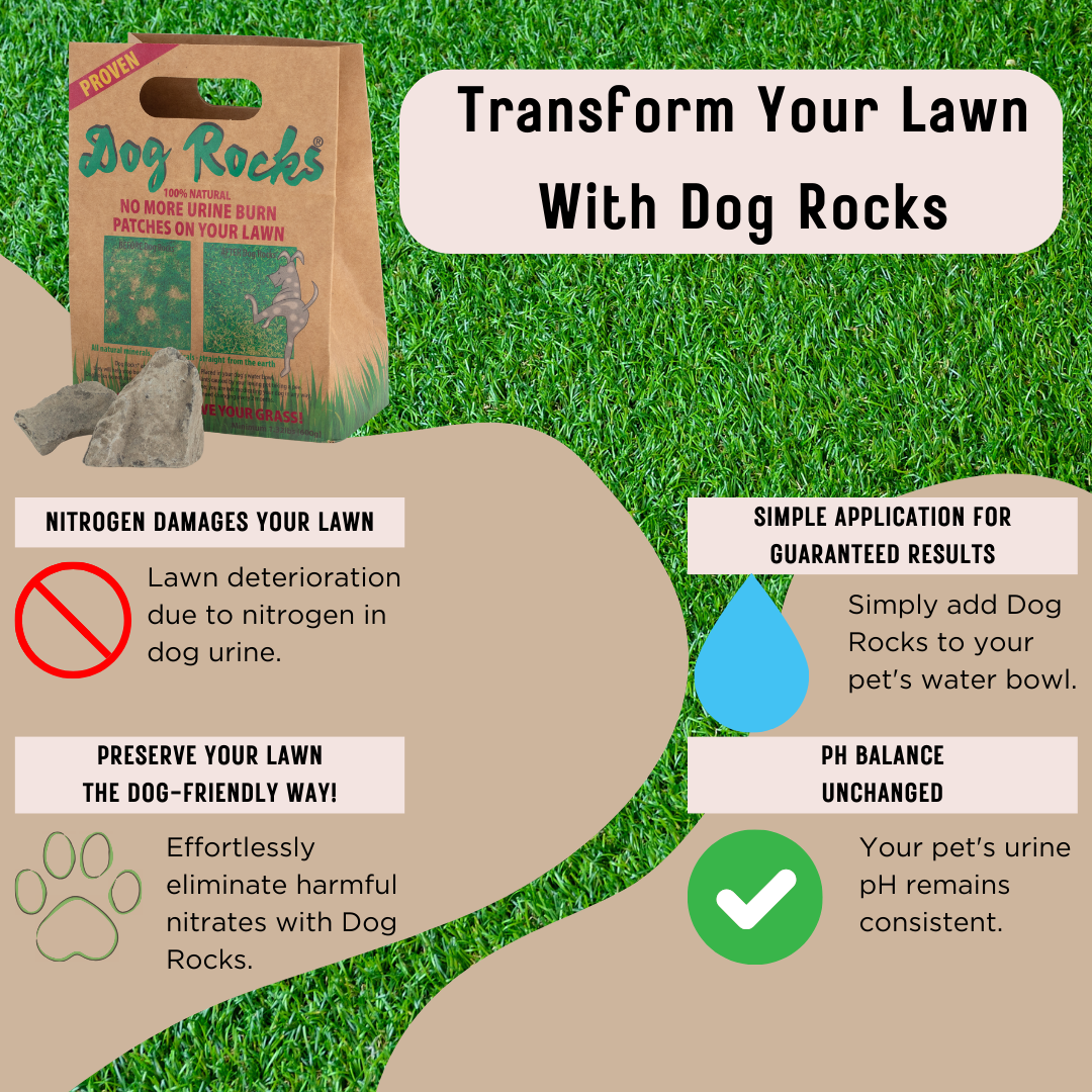 Dog Rocks - 2 Month Supply - 200g (0.4lb) - 1 x 200g Pack