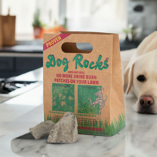 12 month's Supply for 1 water bowl - 2 x 600g Dog Rocks - Stop Pet Pee Burning Grass Naturally