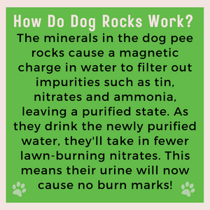 600g Dog Rocks - Stop Pet Pee Burning Grass Naturally
