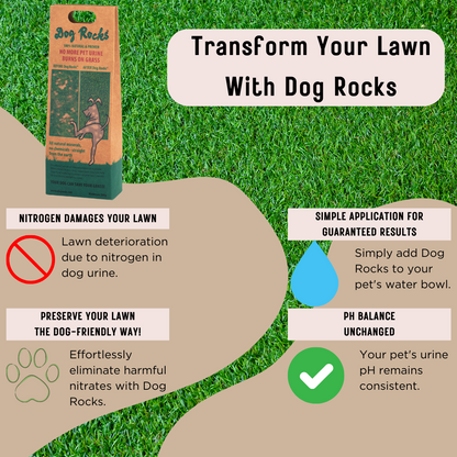 Dog Rocks - 6 Month Supply - 600g (1.2lb)
