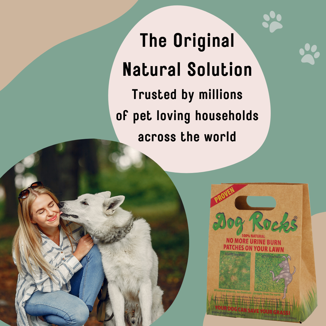 Dog Rocks - 6 Month Supply - 600g (1.2lb)