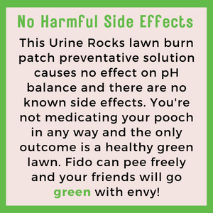 600g Dog Rocks - Stop Pet Pee Burning Grass Naturally